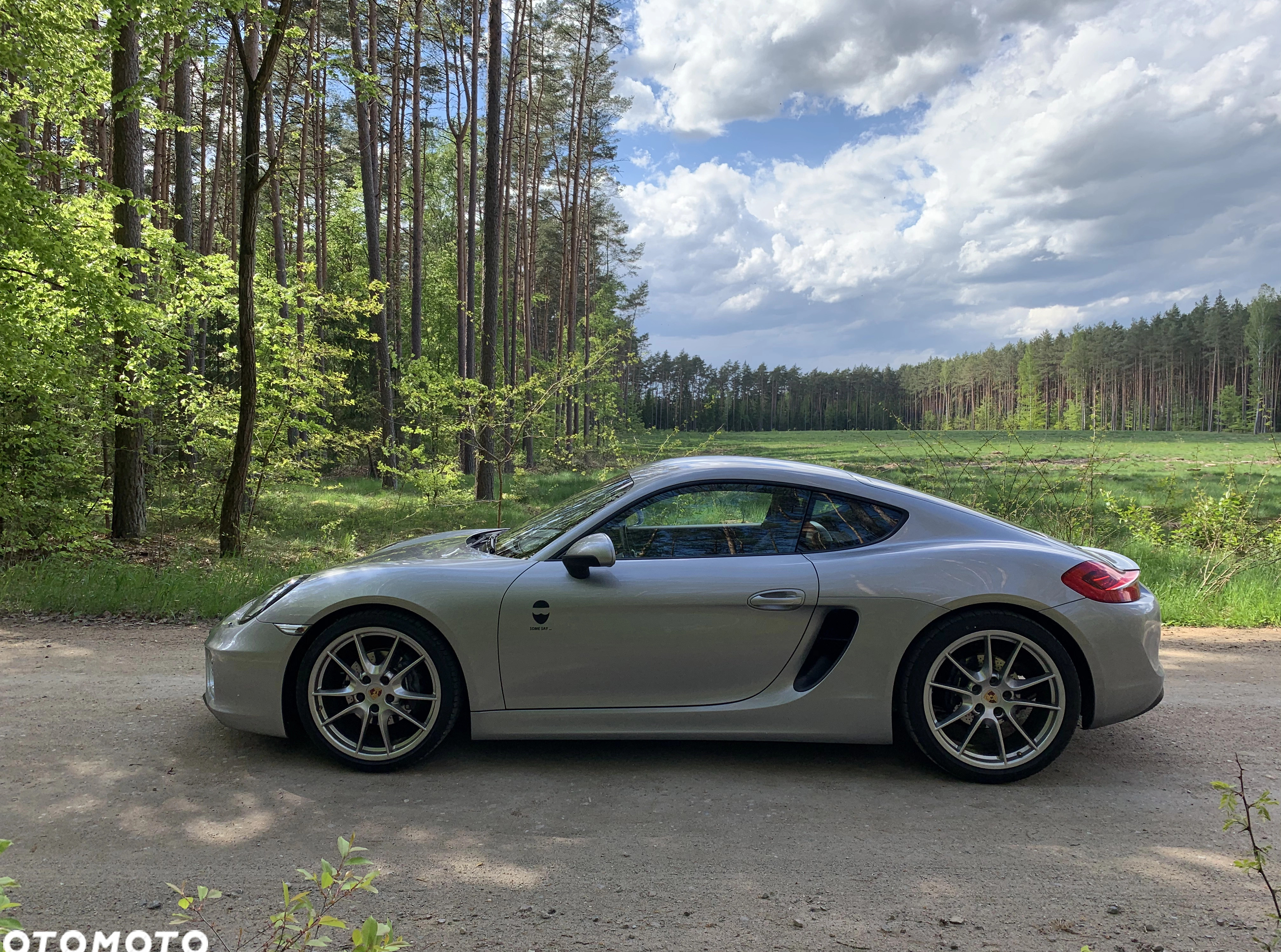 Porsche Cayman cena 219000 przebieg: 107000, rok produkcji 2013 z Jastrowie małe 466